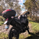 Illustration for article titled Mini photo dump from todays ride